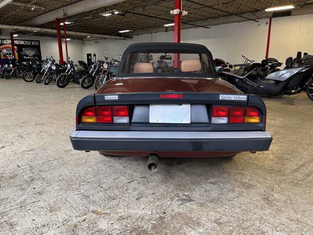 1988 Alfa Romeo Spider Veloce - photo 5