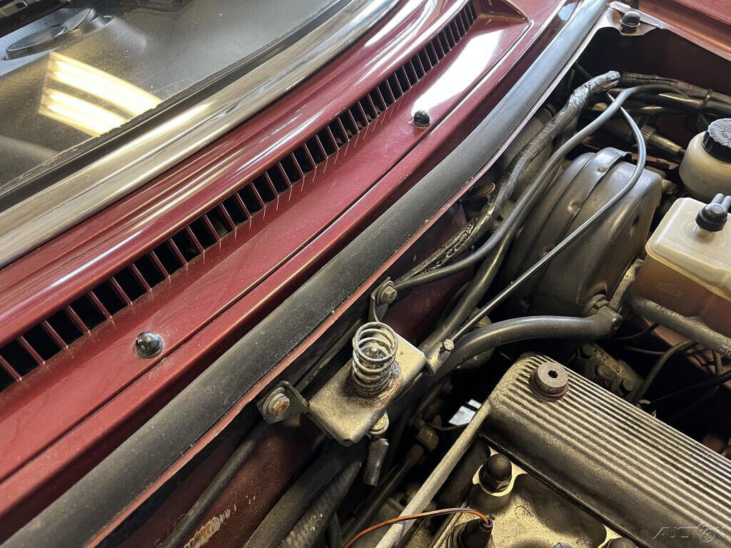 1988 Alfa Romeo Spider Veloce - photo 8