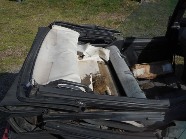 1988 Volkswagen Other Convertible - photo 5