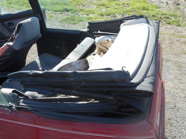 1988 Volkswagen Other Convertible - photo 6