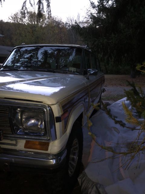 1988 white with wood trim Jeep Grand Wagoneer 19900000 Jeep Wagoneer