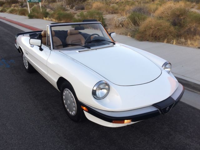 1989 Alfa Romeo Spider Graduate - photo 2