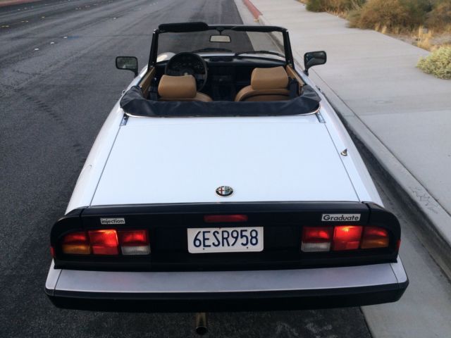 1989 Alfa Romeo Spider Graduate - photo 5