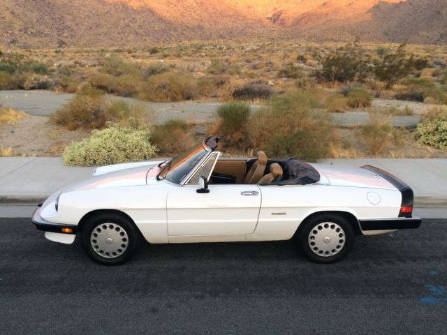 1989 Alfa Romeo Spider Graduate - photo 7