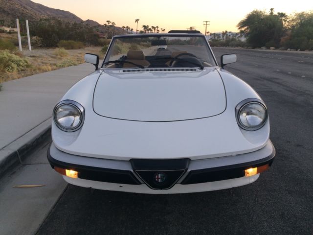 1989 Alfa Romeo Spider Graduate - photo 9