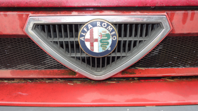1989 Alfa Romeo Milano - photo 3