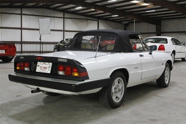 1989 Alfa Romeo Spider -- - photo 5