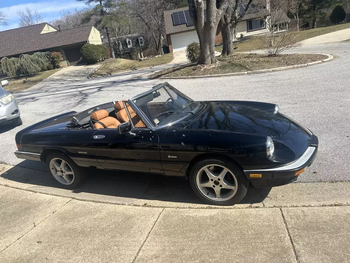 1989 Alfa Romeo Spider GRADUATE