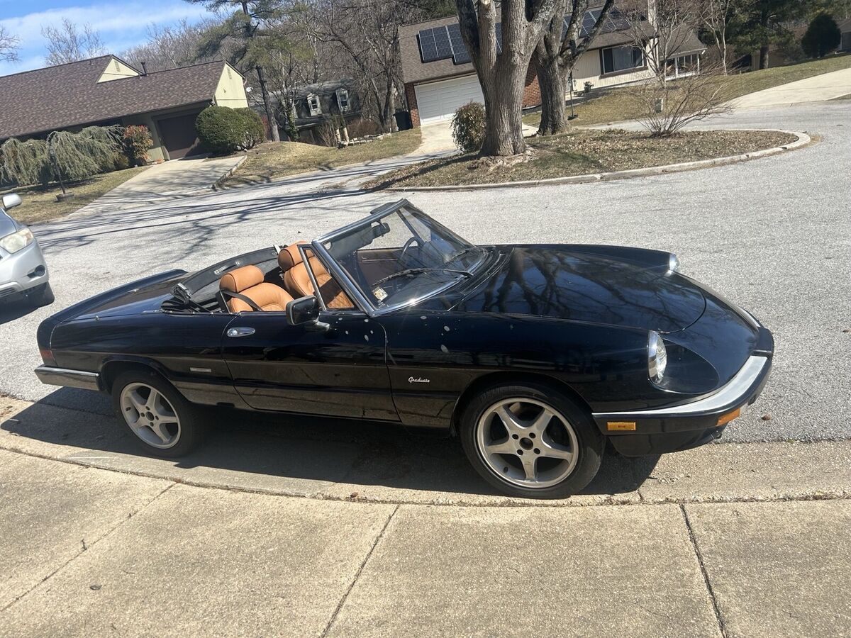 1989 Alfa Romeo Spider GRADUATE - photo 10