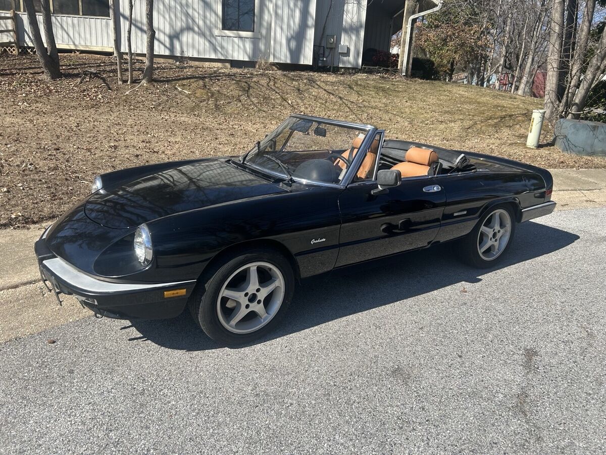 1989 Alfa Romeo Spider GRADUATE - photo 2
