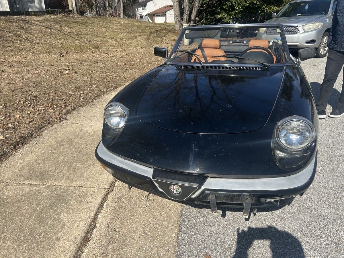 1989 Alfa Romeo Spider GRADUATE - photo 3
