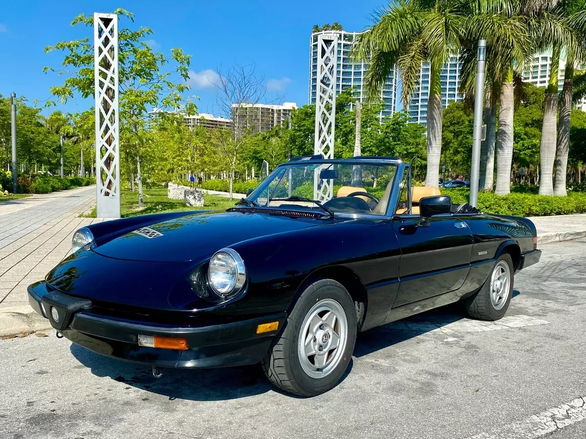 1989 Alfa Romeo Spider Convertible Black RWD Manual VELOCE 1989 Alfa Romeo Spider VELOCE