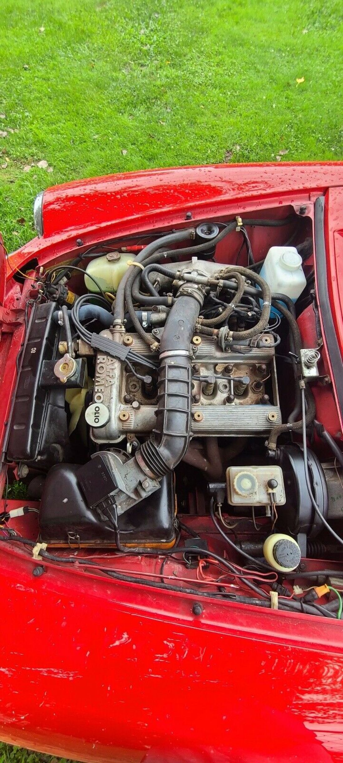 1989 Alfa Romeo Spider GRADUATE - photo 7