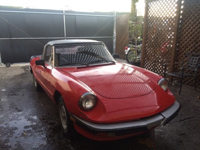 1989 Alfa Romeo Spider Graduate - photo 4