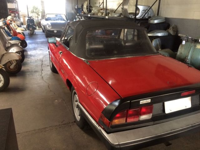 1989 Alfa Romeo Spider Graduate - photo 5