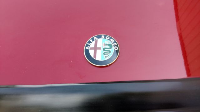 1989 Alfa Romeo Spider Graduate - photo 10