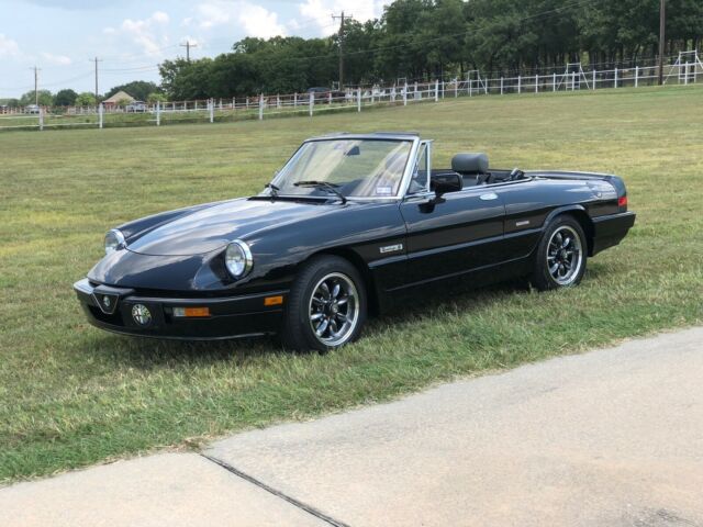 1989 Alfa Romeo Spider Quadrifoglio - photo 5