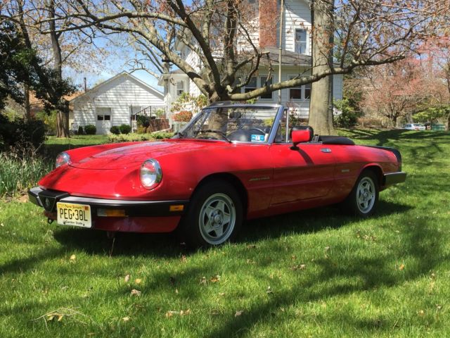1989 Alfa Romeo Spider Spider Veloce - photo 2