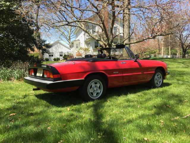 1989 Alfa Romeo Spider Spider Veloce - photo 4