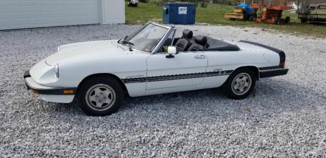 1989 Alfa Romeo Spider factory custom black trim - photo 4