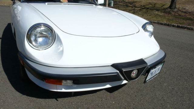 1989 Alfa Romeo Spider 2dr Coupe Graduate - photo 7