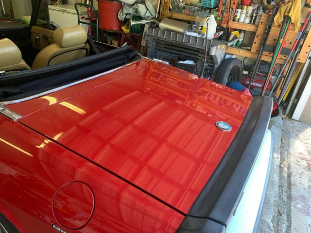 1989 Alfa Romeo Spider - photo 6