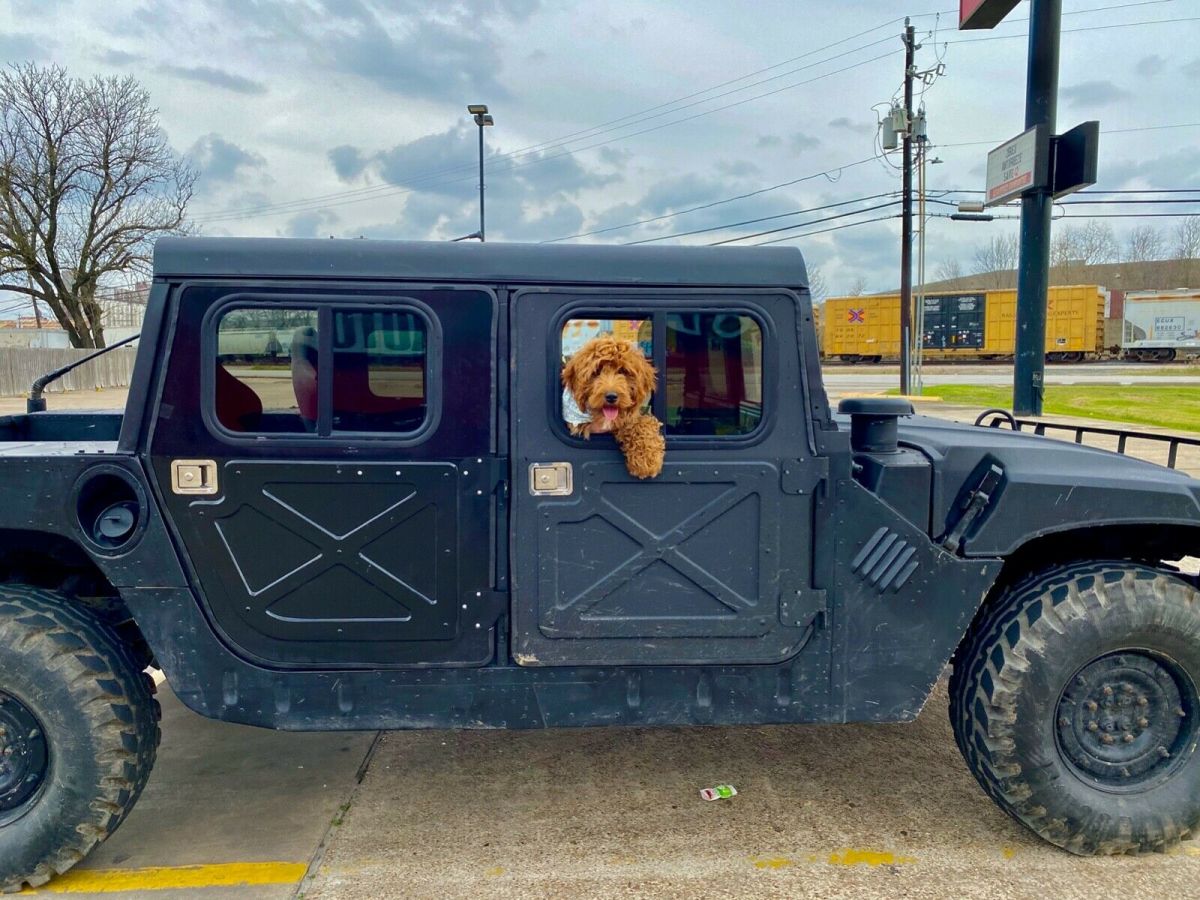 1980 Hummer Other - photo 8