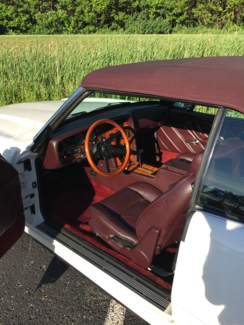 1989 Studebaker - photo 3