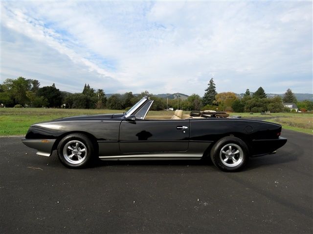1989 Studebaker II-R Convertible - photo 3