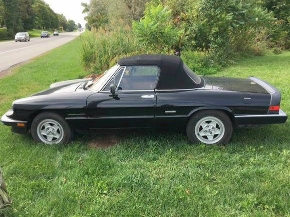 1989 Alfa Romeo Spider Veloce - photo 13