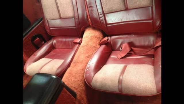 1989 Chevrolet Camaro Convertible - photo 4