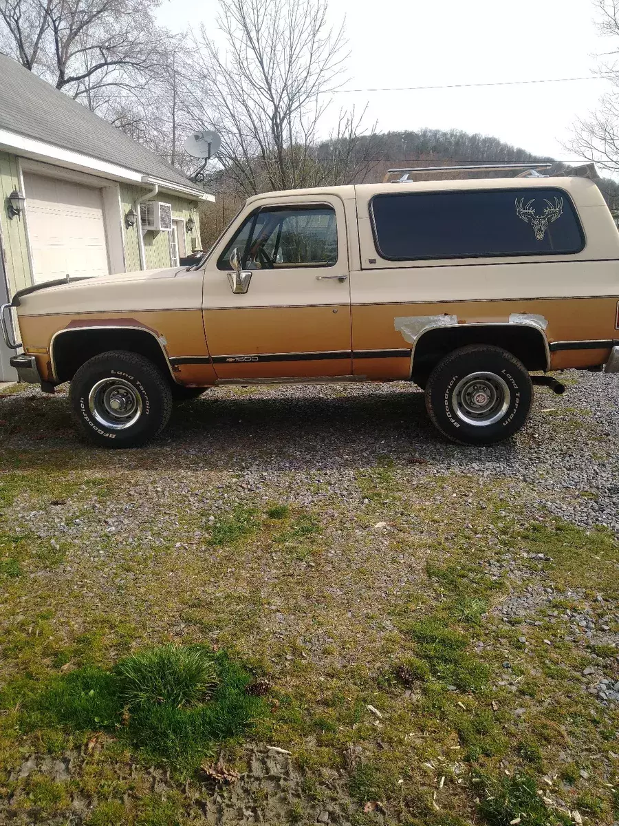 1989 Chevrolet Blazer Brown K5 1989 Chevrolet Blazer K5