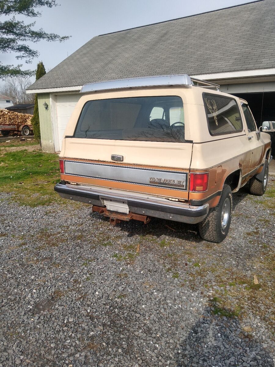 1989 Chevrolet Blazer K5 - photo 7