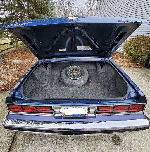 1989 Chevrolet Caprice broughman - photo 5