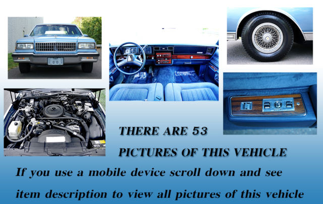 1989 Chevrolet Caprice Classic - photo 7