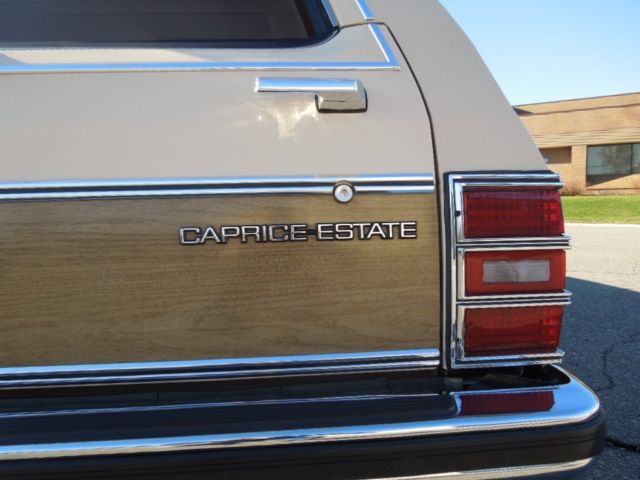 1989 Chevrolet Caprice - photo 5