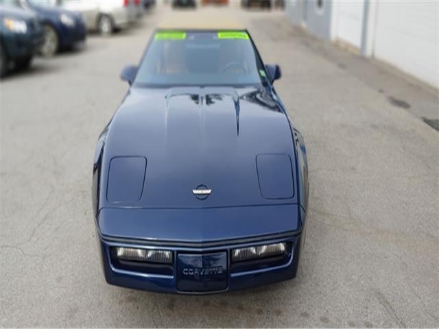 1989 Chevrolet Corvette Convertible 5.7L V8 Auto Leather Blue ONLY 22k - photo 10