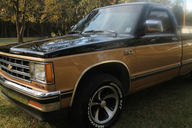 1989 Chevrolet S-10 TAHOE - photo 2