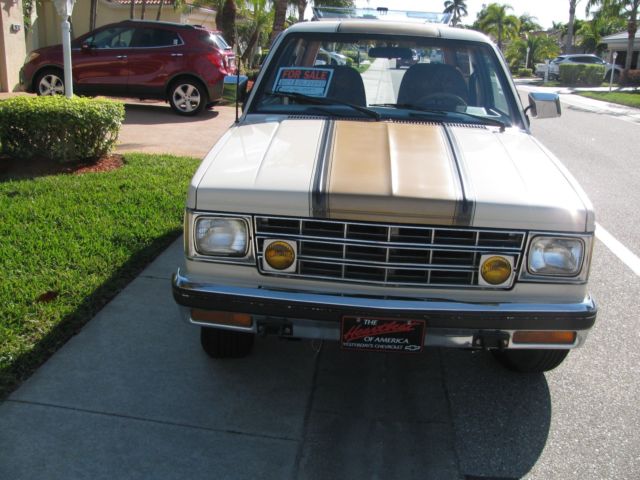 1989 Chevrolet S-10 2 door 2 seat SUV - photo 4