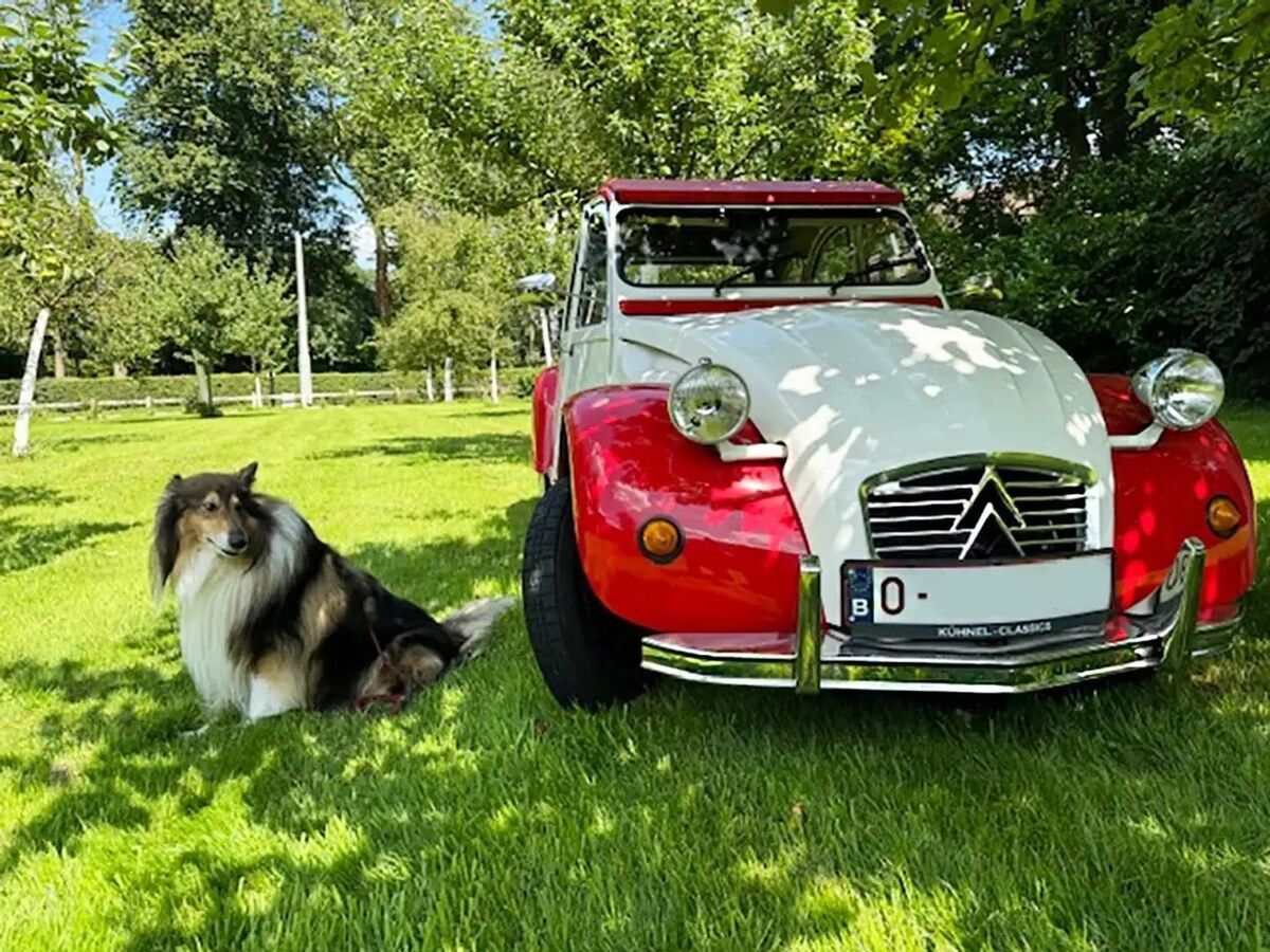 1989 Citroën Charleston Citroen 2CV6 Charleston, 597 cc, Complete Restoration - photo 3