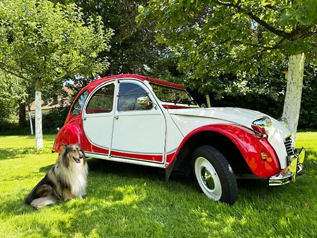 1989 Citroën Charleston Citroen 2CV6 Charleston, 597 cc, Complete Restoration - photo 4