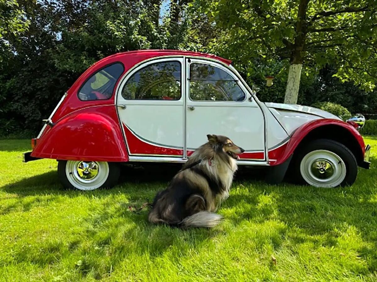 1989 Citroën Charleston Citroen 2CV6 Charleston, 597 cc, Complete Restoration - photo 5