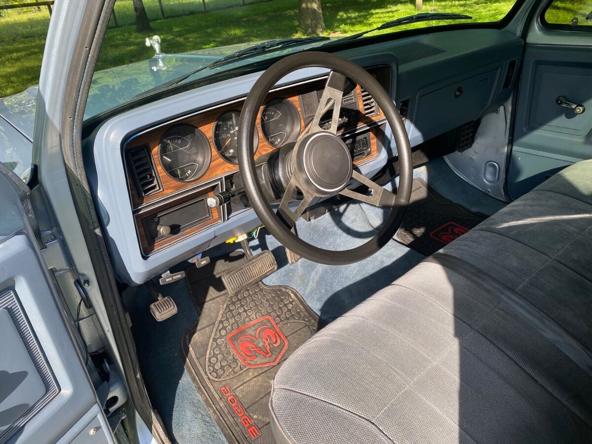 1989 Dodge Other Pickups - photo 9