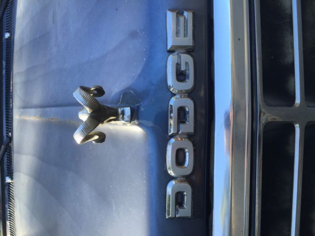 1989 Dodge Other Pickups D250 - photo 7