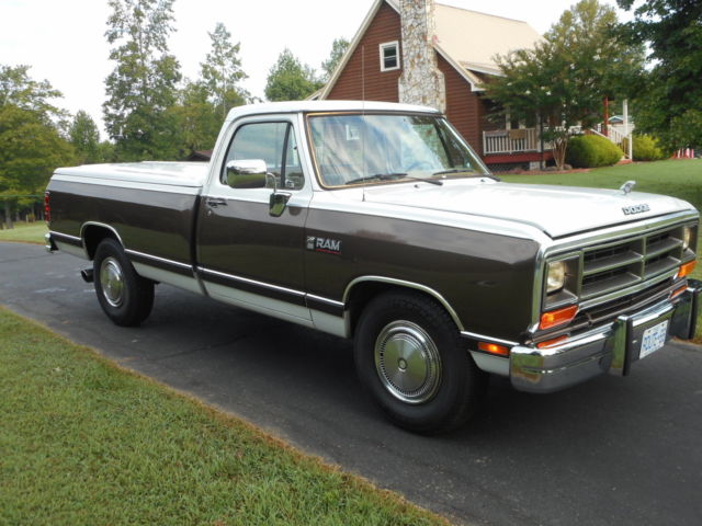 1989 Dodge Other Pickups LE - photo 9