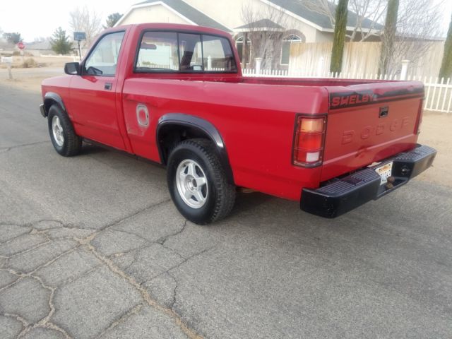 1989 Dodge Dakota Shelby - photo 3