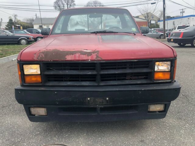 1989 Dodge Dakota SHELBY - photo 3