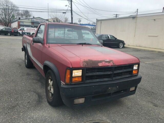 1989 Dodge Dakota SHELBY - photo 4