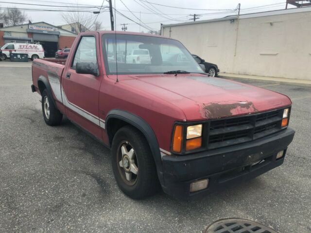 1989 Dodge Dakota SHELBY - photo 5