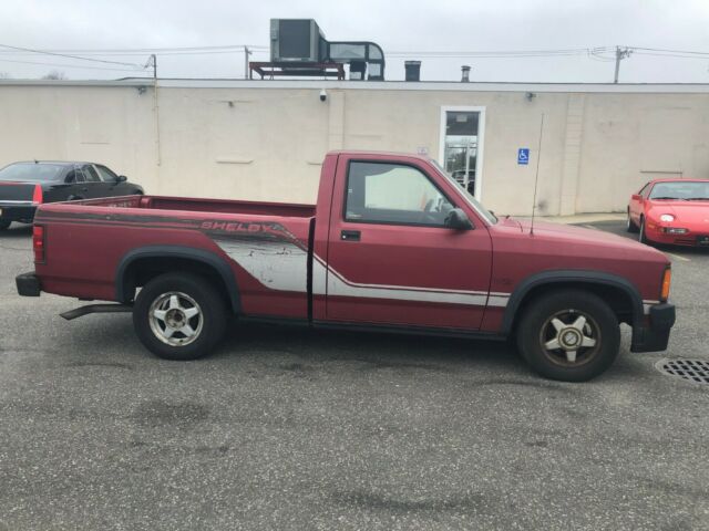 1989 Dodge Dakota SHELBY - photo 6